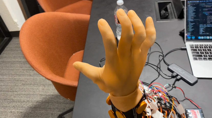 Biomimetic hand with a skin cover